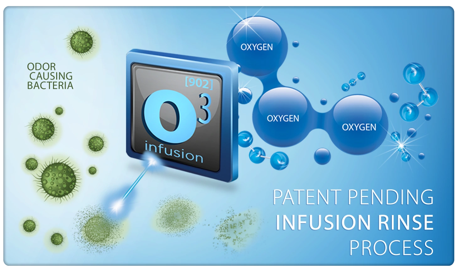 Area Rugs Infusion Rinse